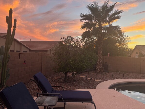 A poolside area with lounge chairs, a palm tree, and a cactus.