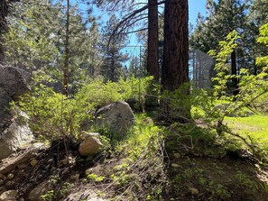 Terrain de l’hébergement 