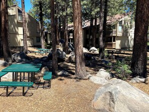 Restauration en plein air