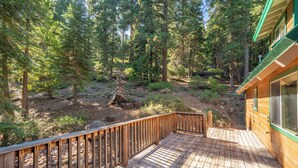 A wooden deck with a railing, surrounded by a forested area with tall trees.