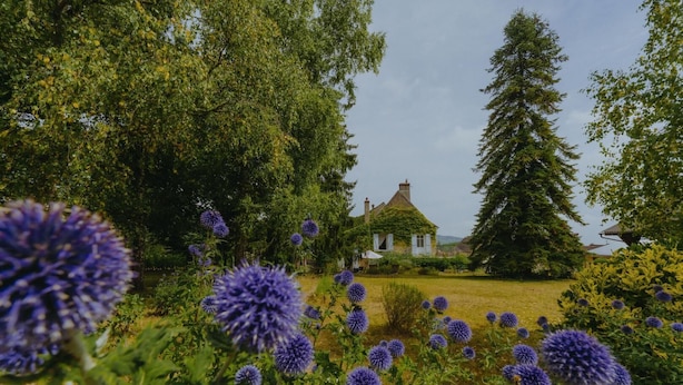 A traditional house surrounded by lush greenery and purple flowers. - La Maison de Yette - CHEILLY-LES-MARANGES (CHEILLY-LES-MARANGES)
