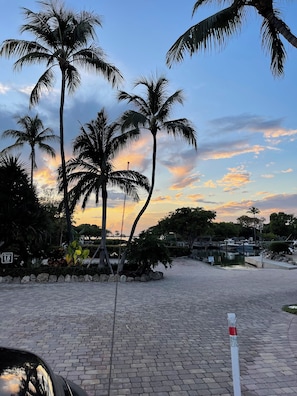 A paved walkway with palm trees and a marina in the background.
