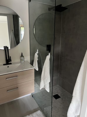 Shower, hair dryer, towels, soap