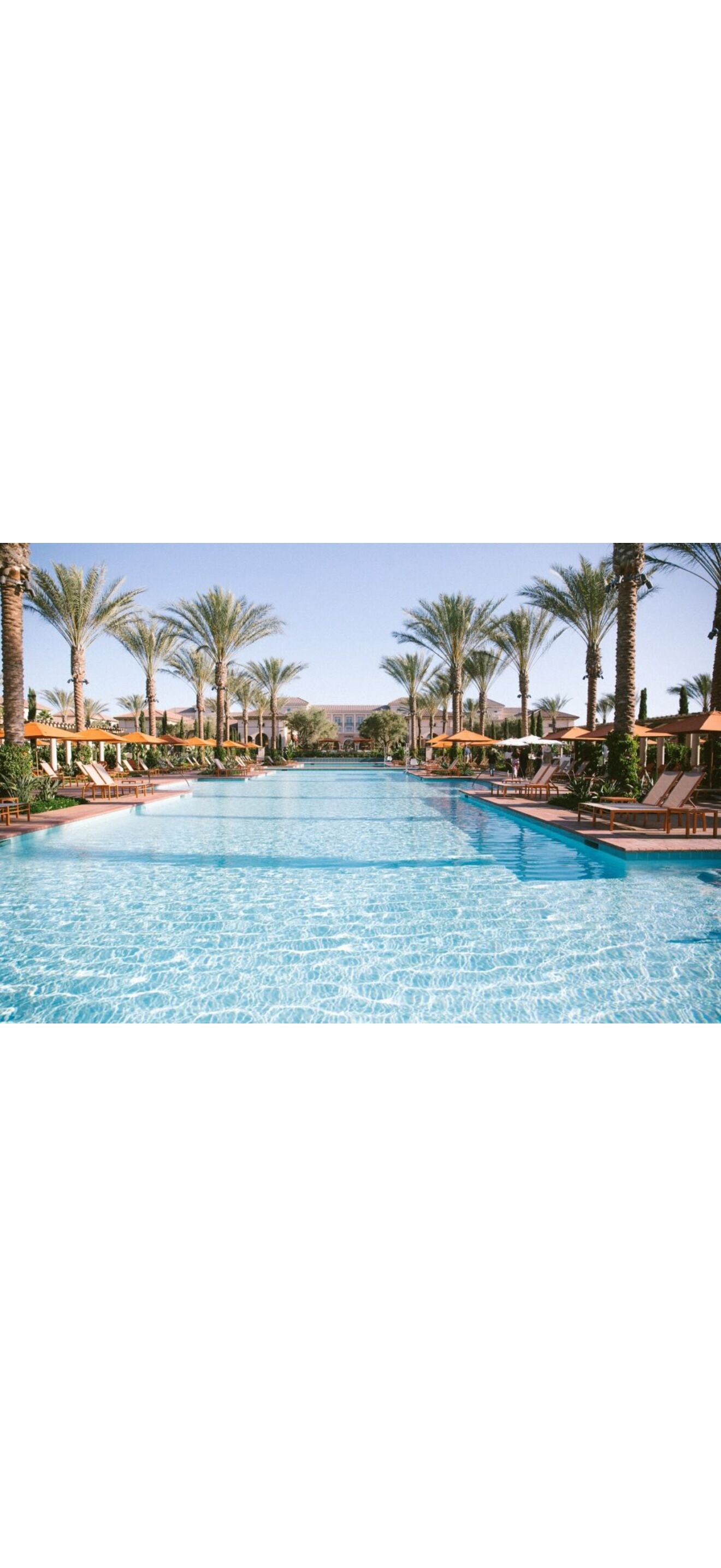 A large swimming pool with palm trees and lounge chairs on both sides.
