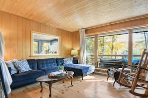 Smart TV, chimenea y libros