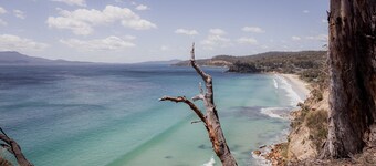 Spring Beach Rise at Spring Beach