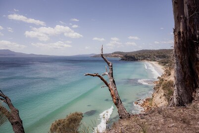 Spring Beach Rise at Spring Beach