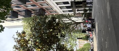 Classic Double Room, Patio | Iron/ironing board, free WiFi