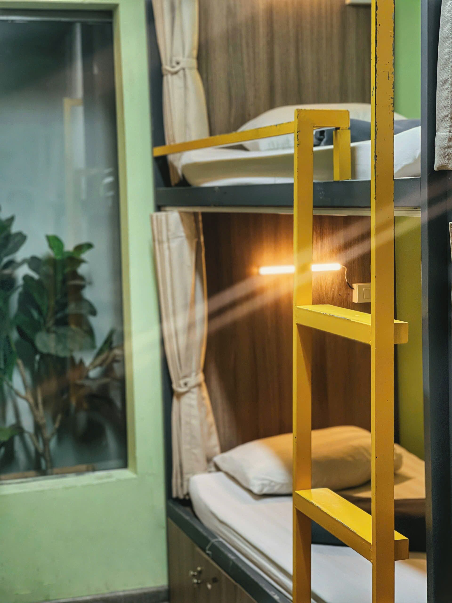 A bunk bed with a wooden headboard, a window with curtains, and a potted plant.