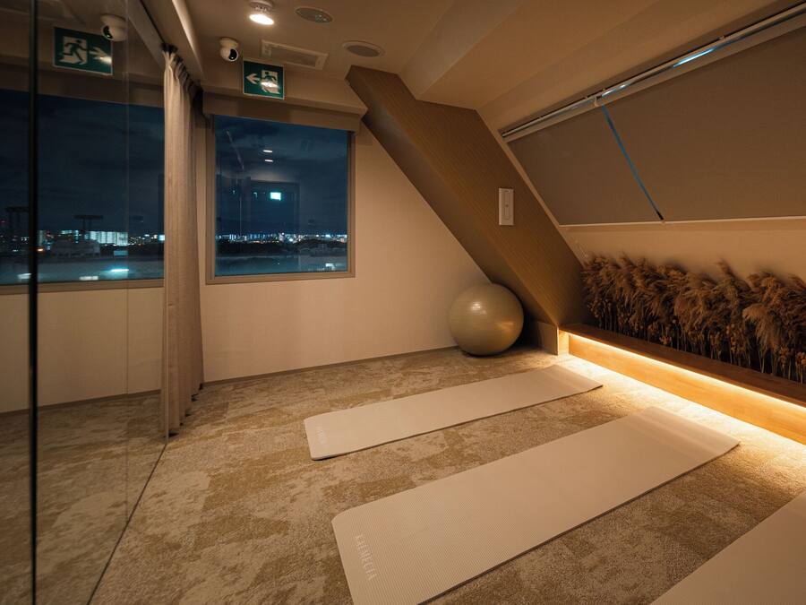 A room with a large window, a wall-mounted exercise ball, and two exercise mats on the floor.