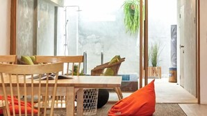 Un comedor moderno con una mesa y sillas de madera, una lámpara de pie y plantas en macetas.