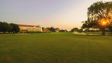 Golf view