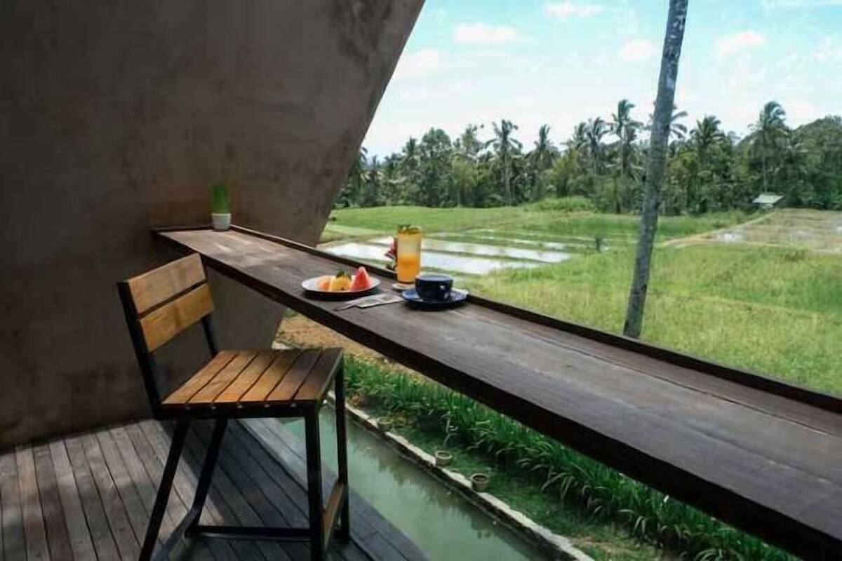 A wooden bench with a view of a rice field and palm trees.