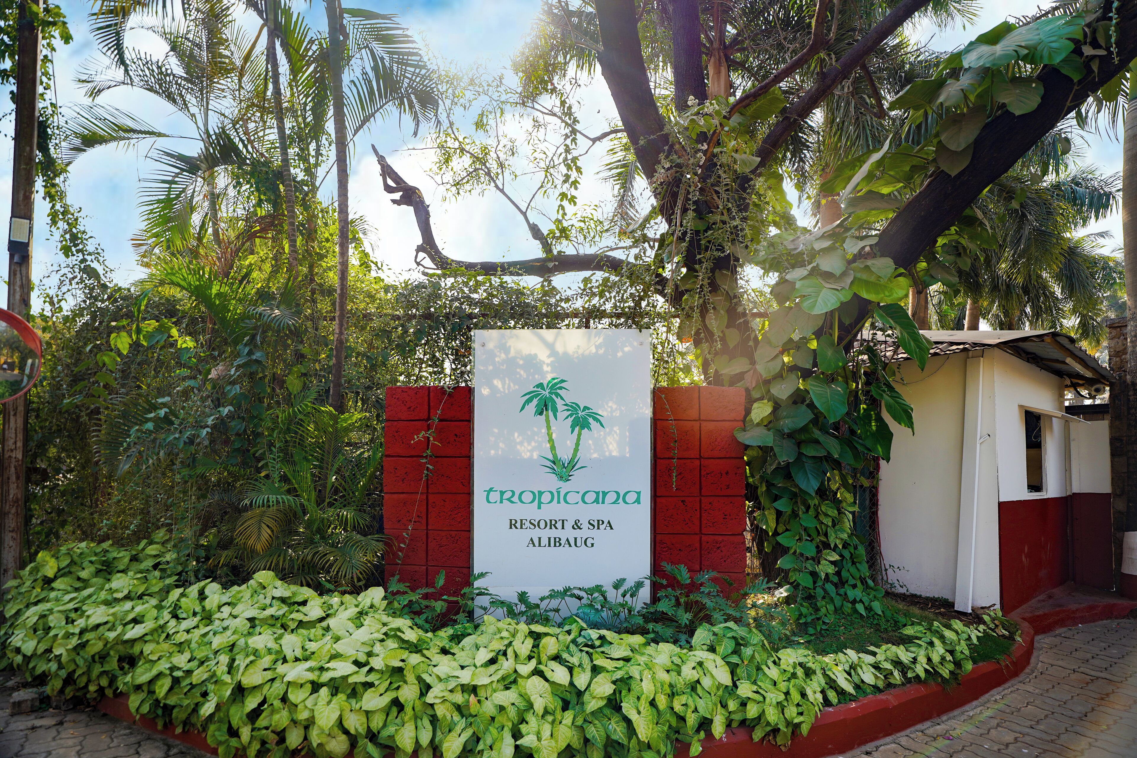 Naamplaatje voor Tropicana Resort & Spa in Alibaug, omringd door weelderige begroeiing en een bakstenen muur.