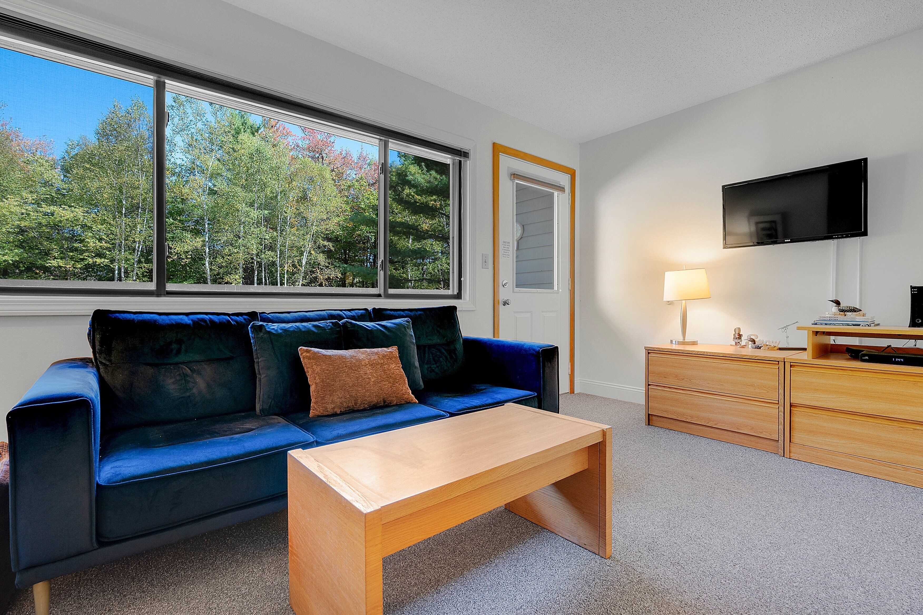 TV, fireplace, books