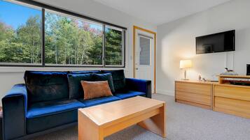 TV, fireplace, books