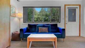 テレビ、暖炉、書庫