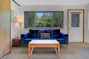 TV, fireplace, books