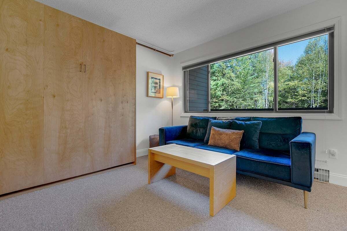 TV, fireplace, books