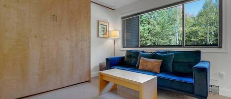 TV, fireplace, books