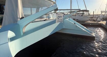 Charming 3-bedroom in Charleston