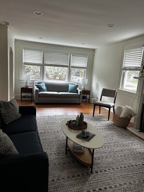 TV, fireplace - Charming 3-bedroom house with AC in perfect Charleston (Charleston)