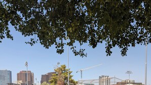 A road with a white line marking, a white fence, and a tree with green leaves. - Modern Downtown Condo- 10 minutes walk to Downtown Phoenix (Phoenix)