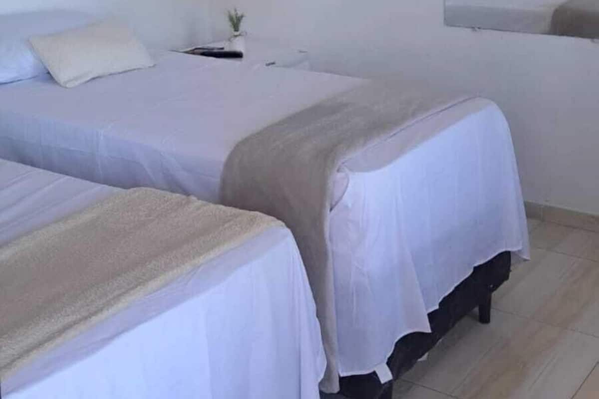 A room with two beds, a flat-screen TV mounted on the wall, and a small potted plant on a nightstand.