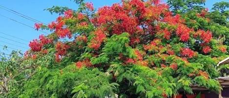 Façade de lâhĂ©bergement