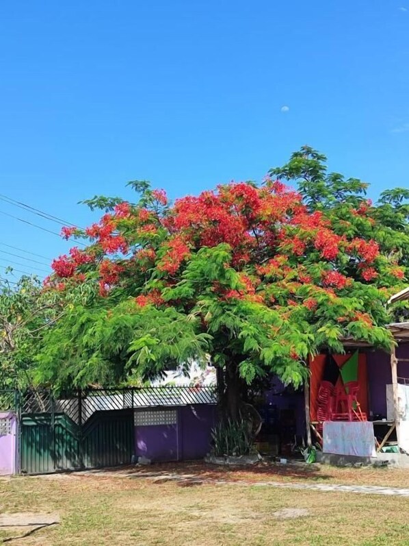 Voorkant van accommodatie