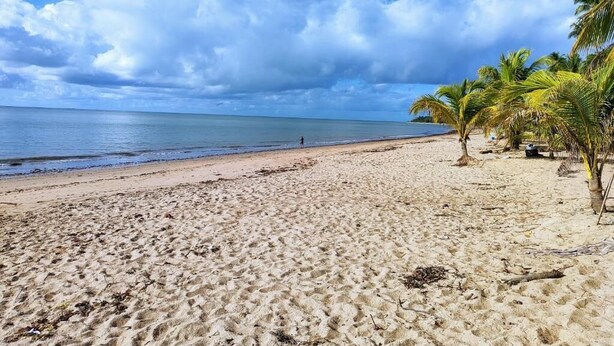 A sandy beach with palm trees and a clear sky. - Pousada Sol de Berlinque (Vera Cruz)