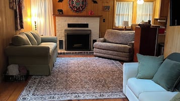 Smart TV, fireplace, books