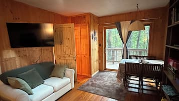 Smart TV, fireplace, books