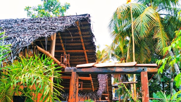 A rustic wooden structure with a thatched roof, surrounded by lush greenery and a small garden path. - Lunuvila resort Hiriketiya Dickwella (Dikwella)