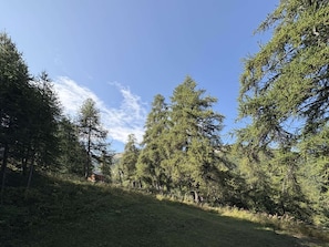 Sekalaista