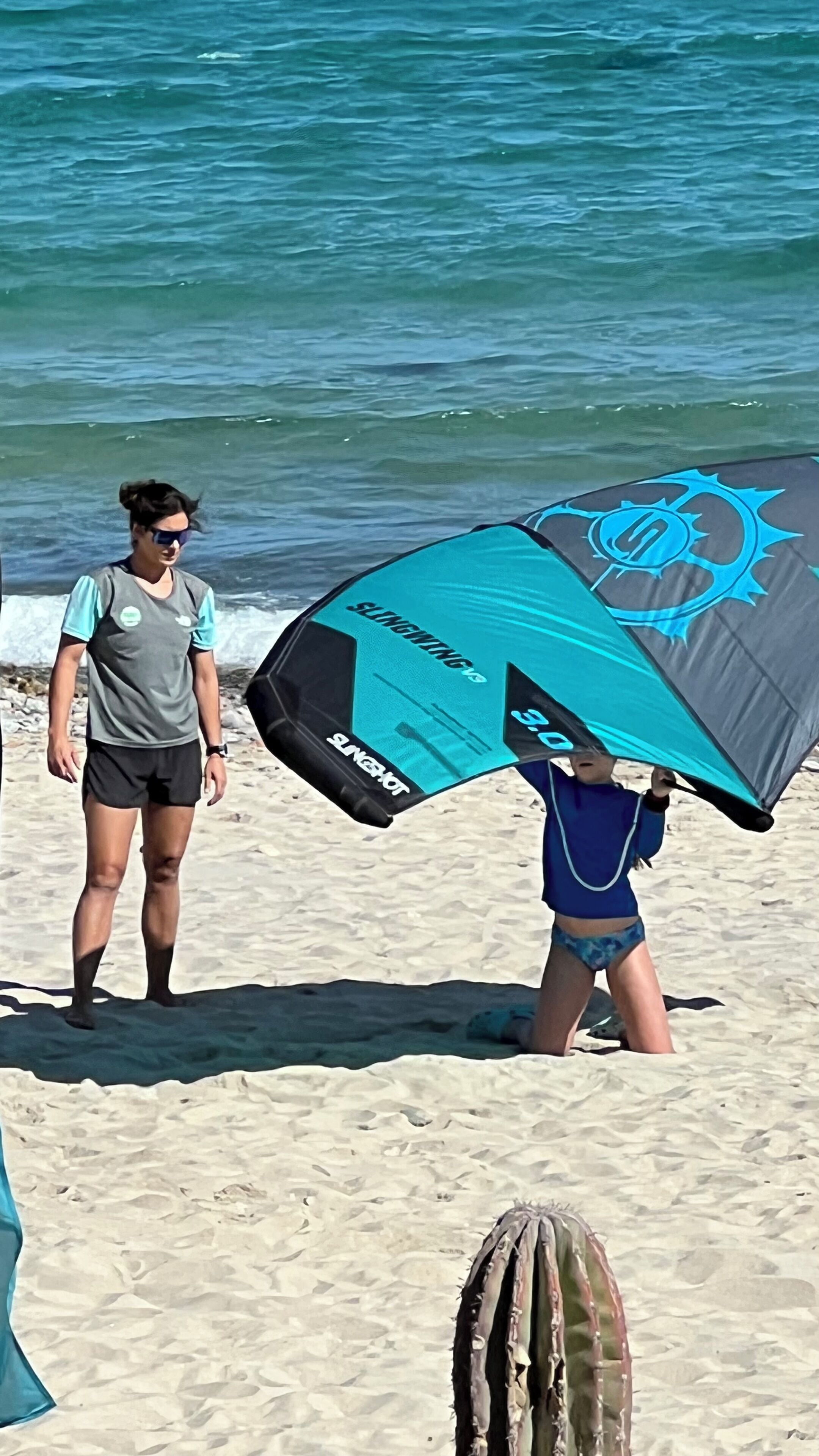 A person holding a large kite on a beach with sand and water in the background.