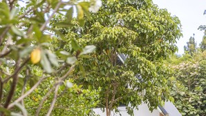 A white building with a covered porch, steps leading to a door, and potted plants around. - Coconut WayWay Retreat by Sea N' Rent (Ko Pha-ngan)