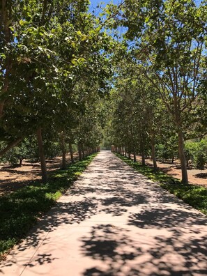 منوع