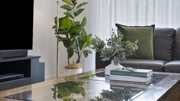 A modern living room with a flat-screen TV, a floor lamp, a coffee table with books, a potted plant, and a sofa with a green cushion. - Family-Friendly House with Courtyard Retreat (Wavell Heights)