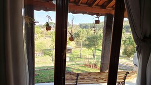 A room with a view of a garden, a wooden bench, and hanging plants.