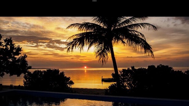 A sunset view with a palm tree and a swimming pool. - Roka Resort by ARKasia Foundation (Bintan)