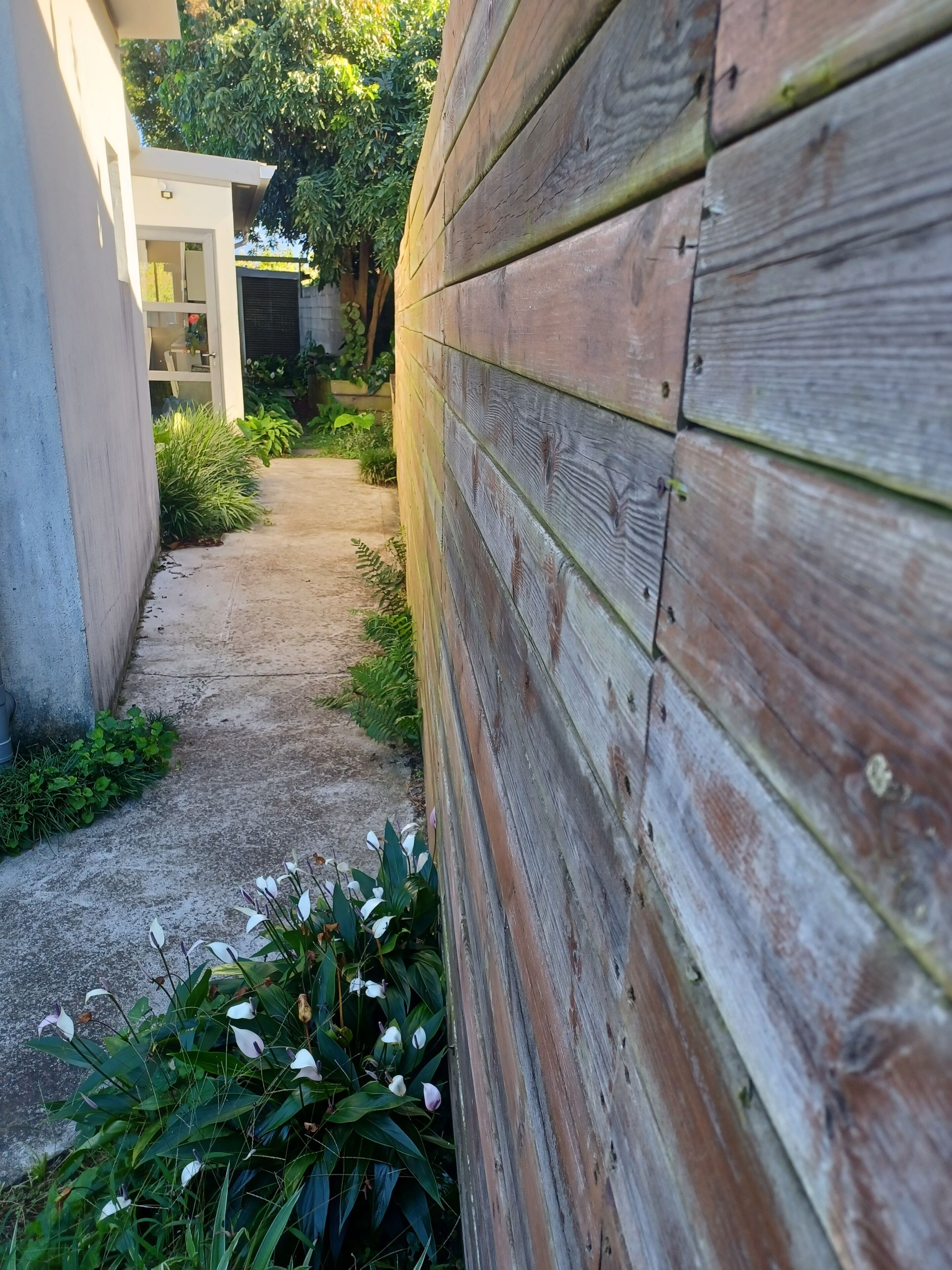 Ein schmaler Betonweg, gesäumt von einem Holzzaun und üppigem Grün, führt zu einem modernen Gebäude mit Glastür.