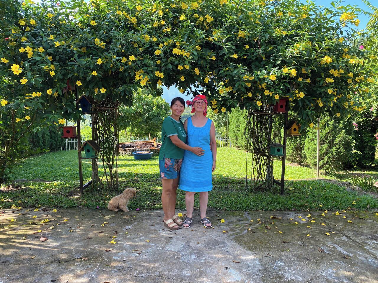 Dos personas de pie bajo un árbol en flor con comederos para pájaros en un jardín.