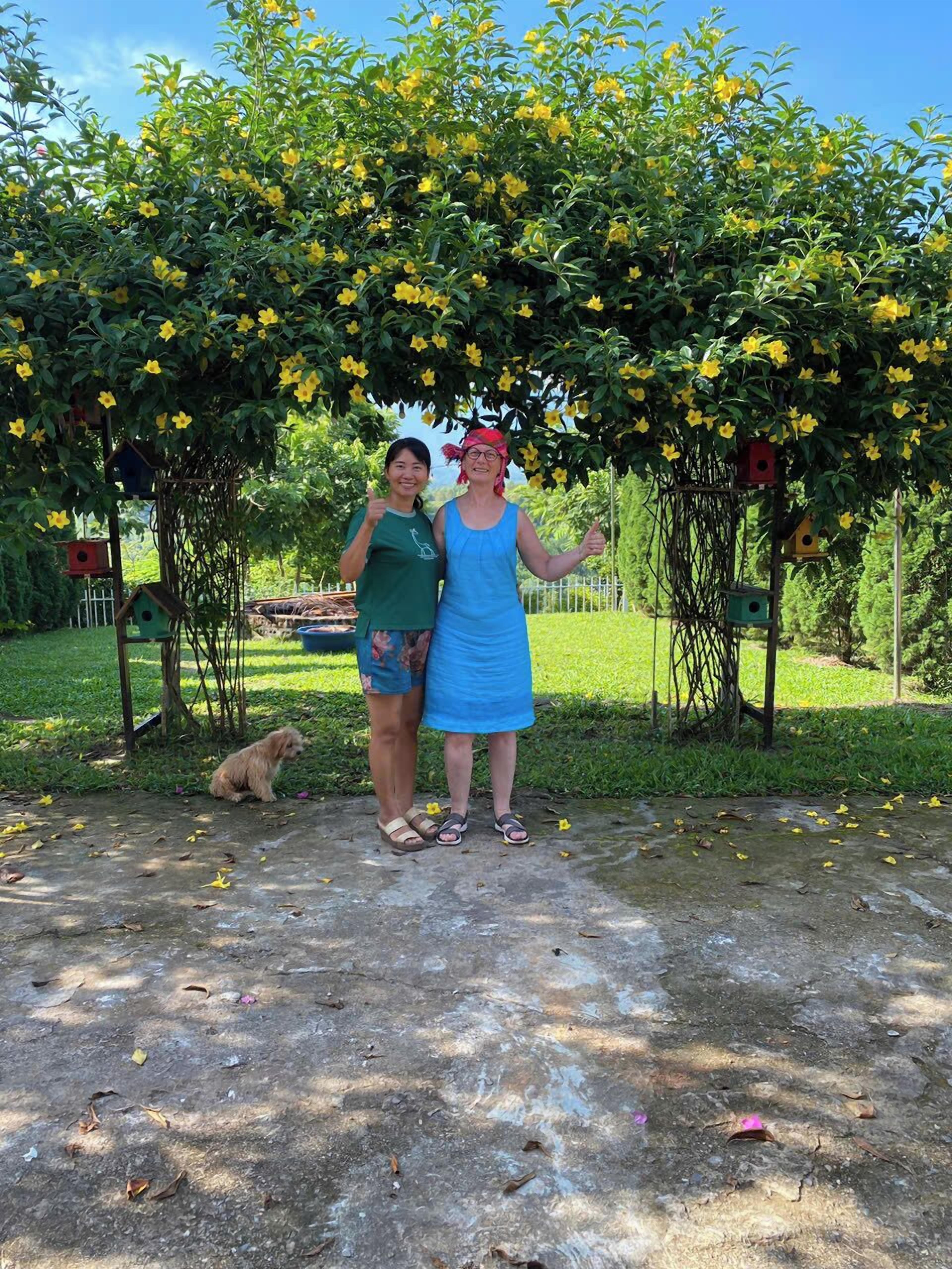 Dos personas bajo un árbol en flor con casas para pájaros en un jardín.
