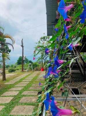 Ein Garten mit einem Weg, einer Palme und Kletterpflanzen mit blauen und rosa Blüten.