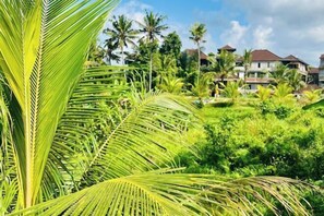 Utsikt fra overnattingsstedet