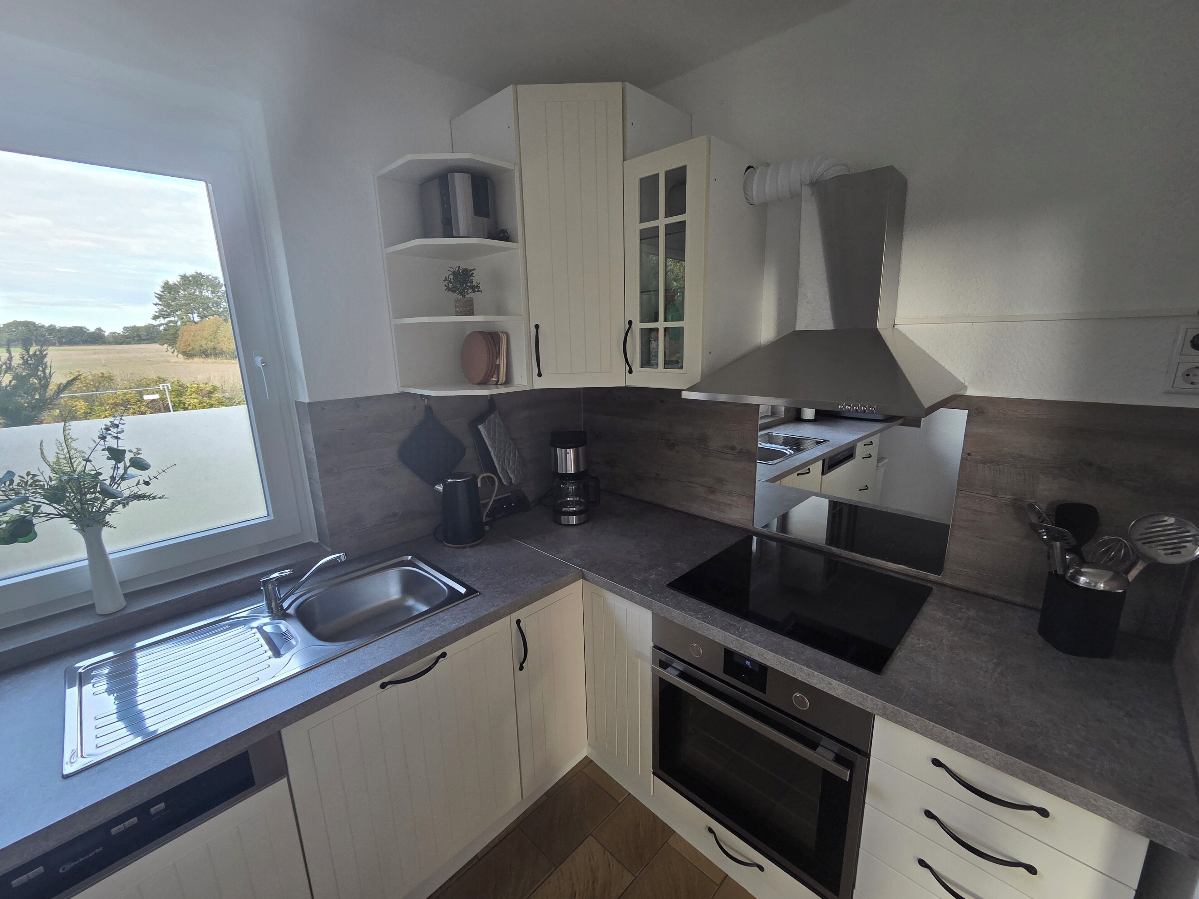 Mikrowelle, Herdplatte, Geschirrspüler