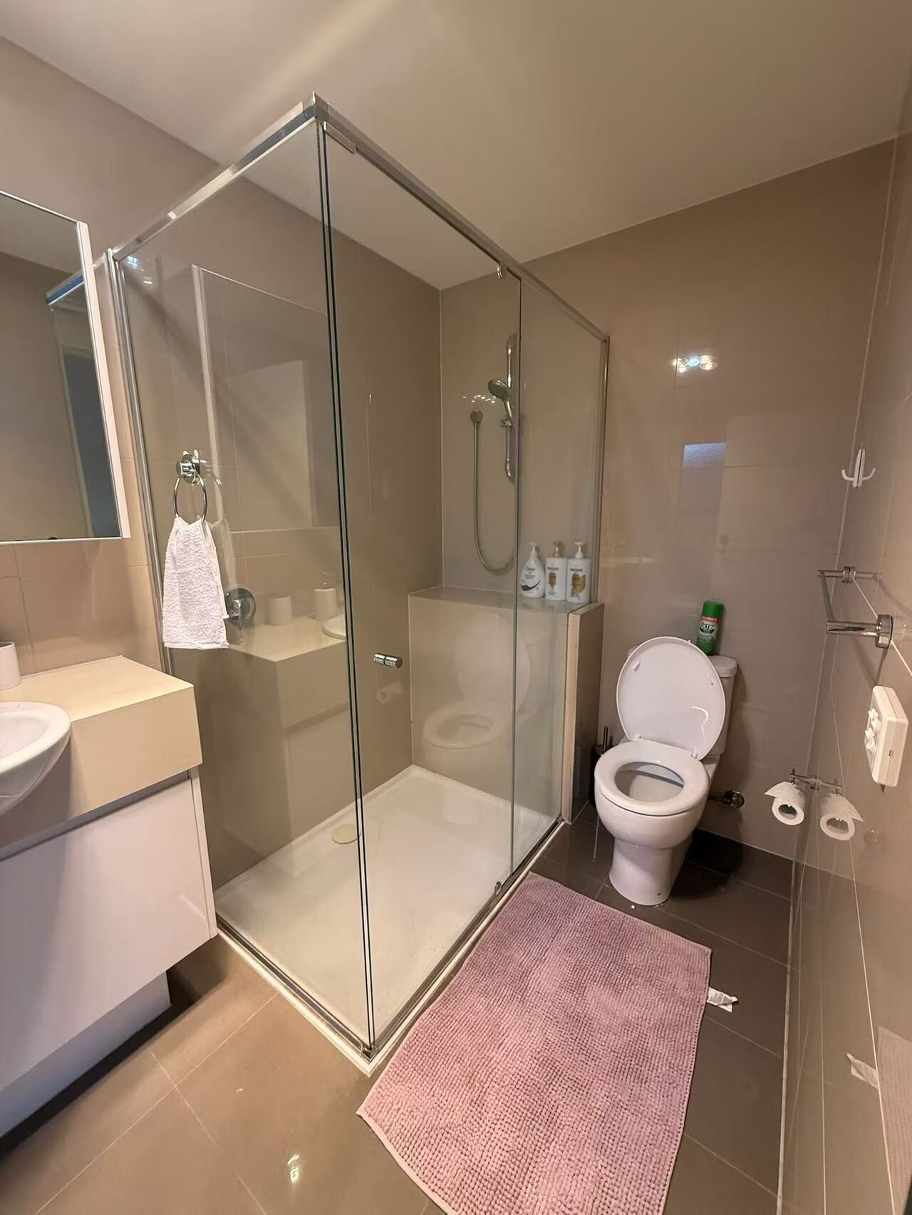 مجففات شعر، مناشف، صابون، ورق حمّام