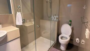 Hair dryer, towels, soap, toilet paper