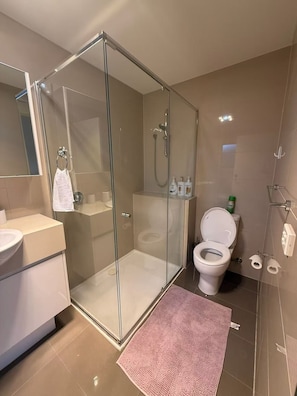 Hair dryer, towels, soap, toilet paper